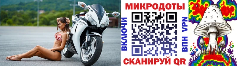 Псилоцибиновые грибы Psilocybe Чусовой