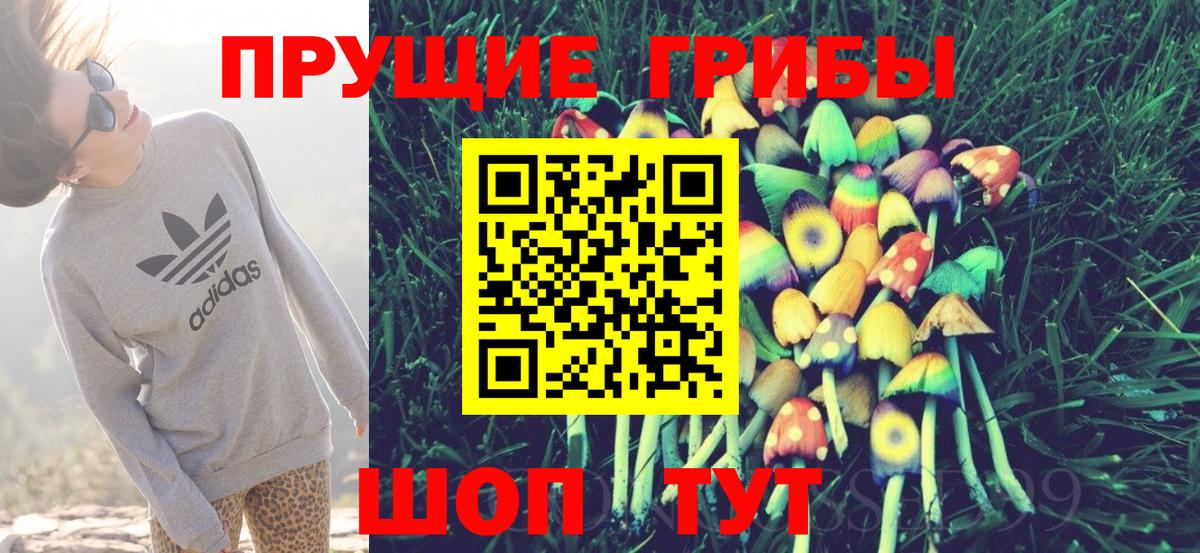 Чусовой  Галлюциногенные грибы мицелий  Вход с VPN 