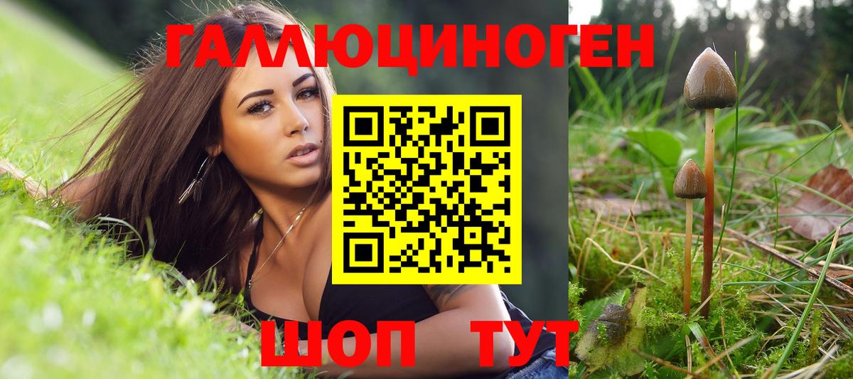 Галлюциногенные грибы мухоморы  Псилоцибиновые грибы мицелий  где купить   Чусовой 