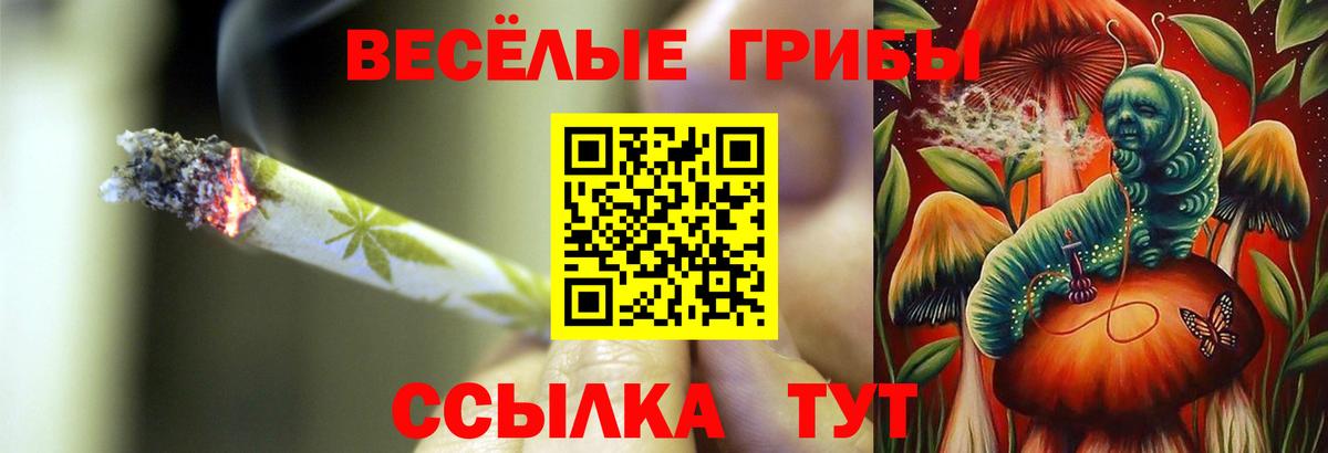 Галлюциногенные грибы мухоморы Чусовой
