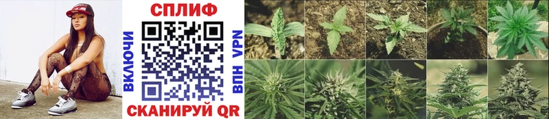 Марихуана SATIVA & INDICA Чусовой